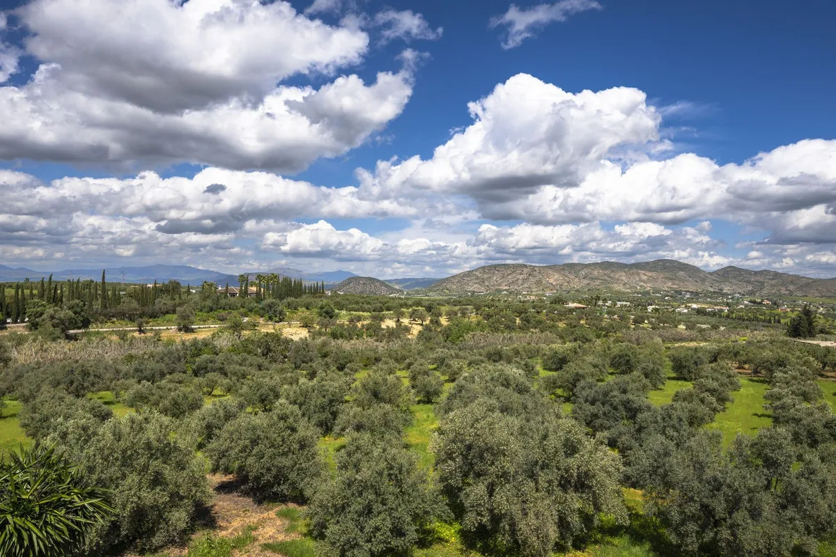 9f837480-5e3d-4e4d-a30a-945981ebd21c