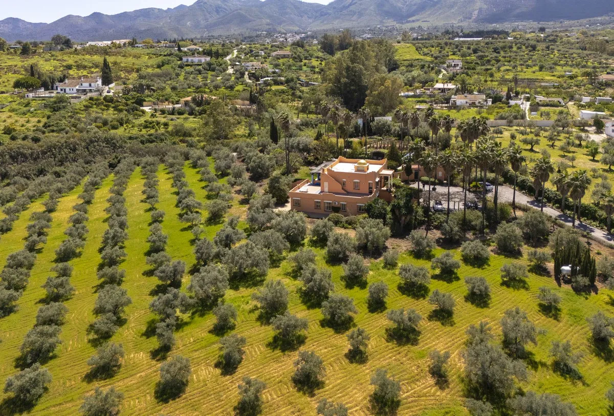 ba8074ec-f1a1-4b1e-87bb-cefe9f3db1af