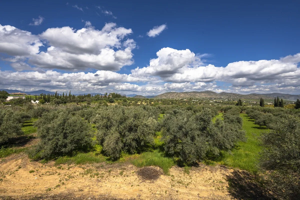 c2905400-07f4-4b52-9aa1-fe12e61ef119