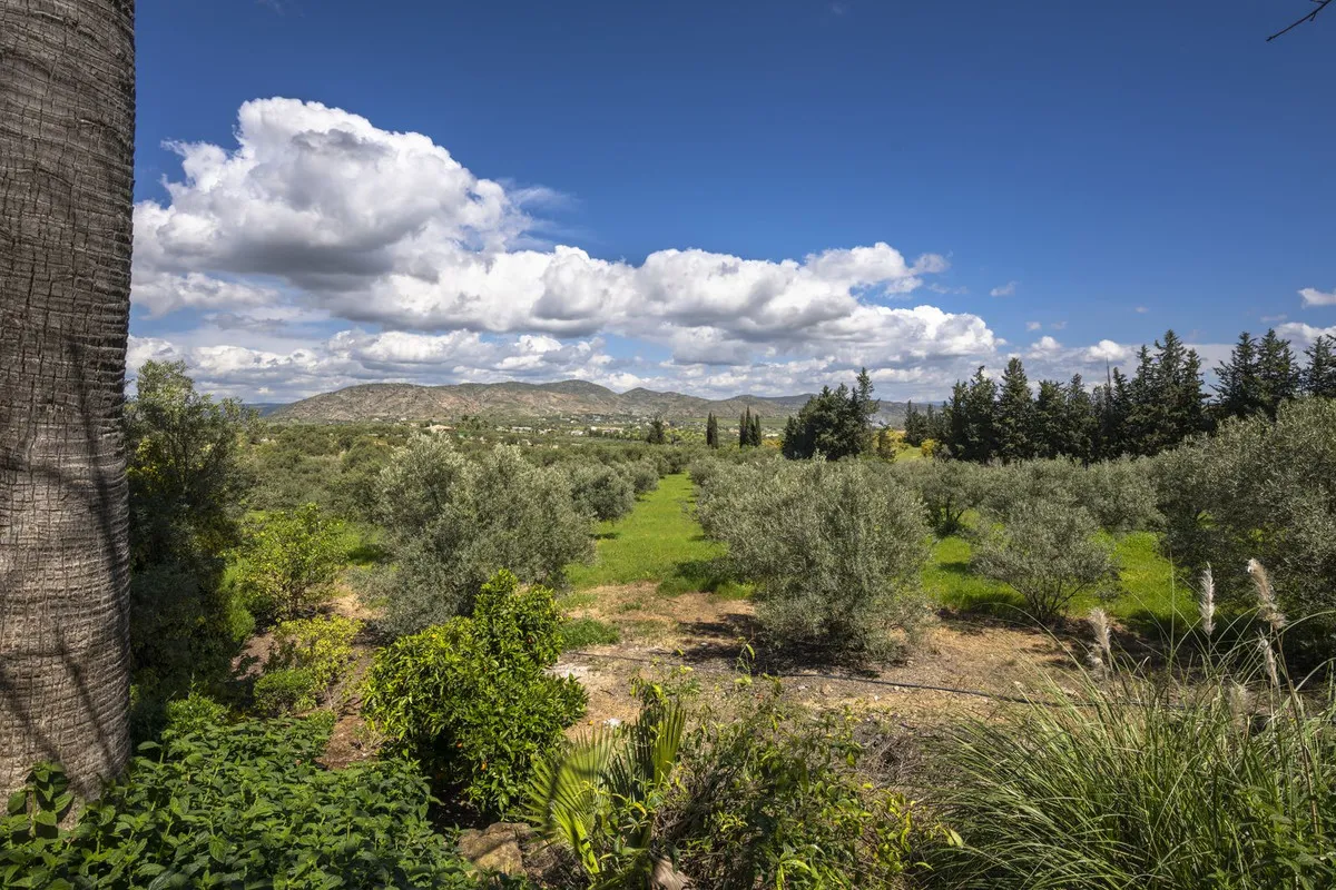 c92bf660-7c3f-4767-8a56-8a55eb5ed6fb