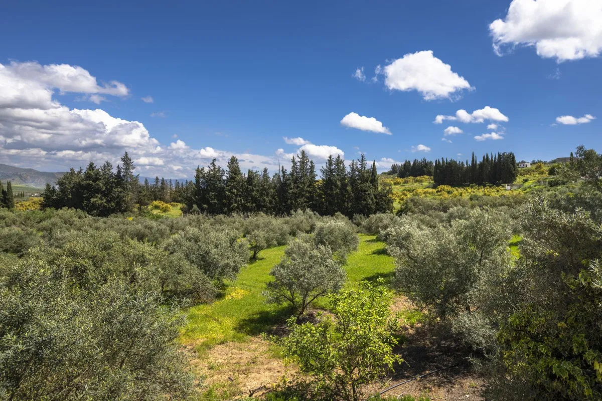 efd50b53-a920-49f5-a6be-59b9bf81e697