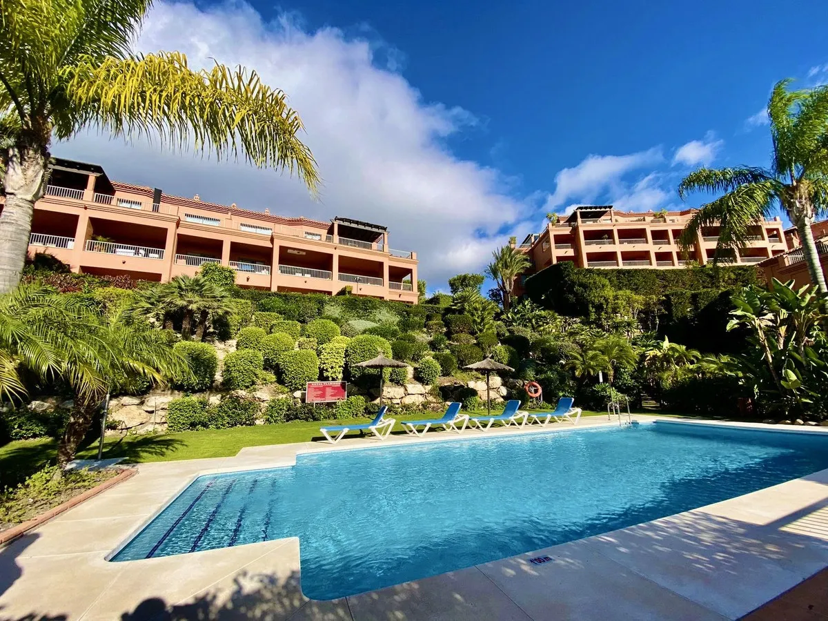 d19b2a44-2646-4c7f-9650-03389e27d953