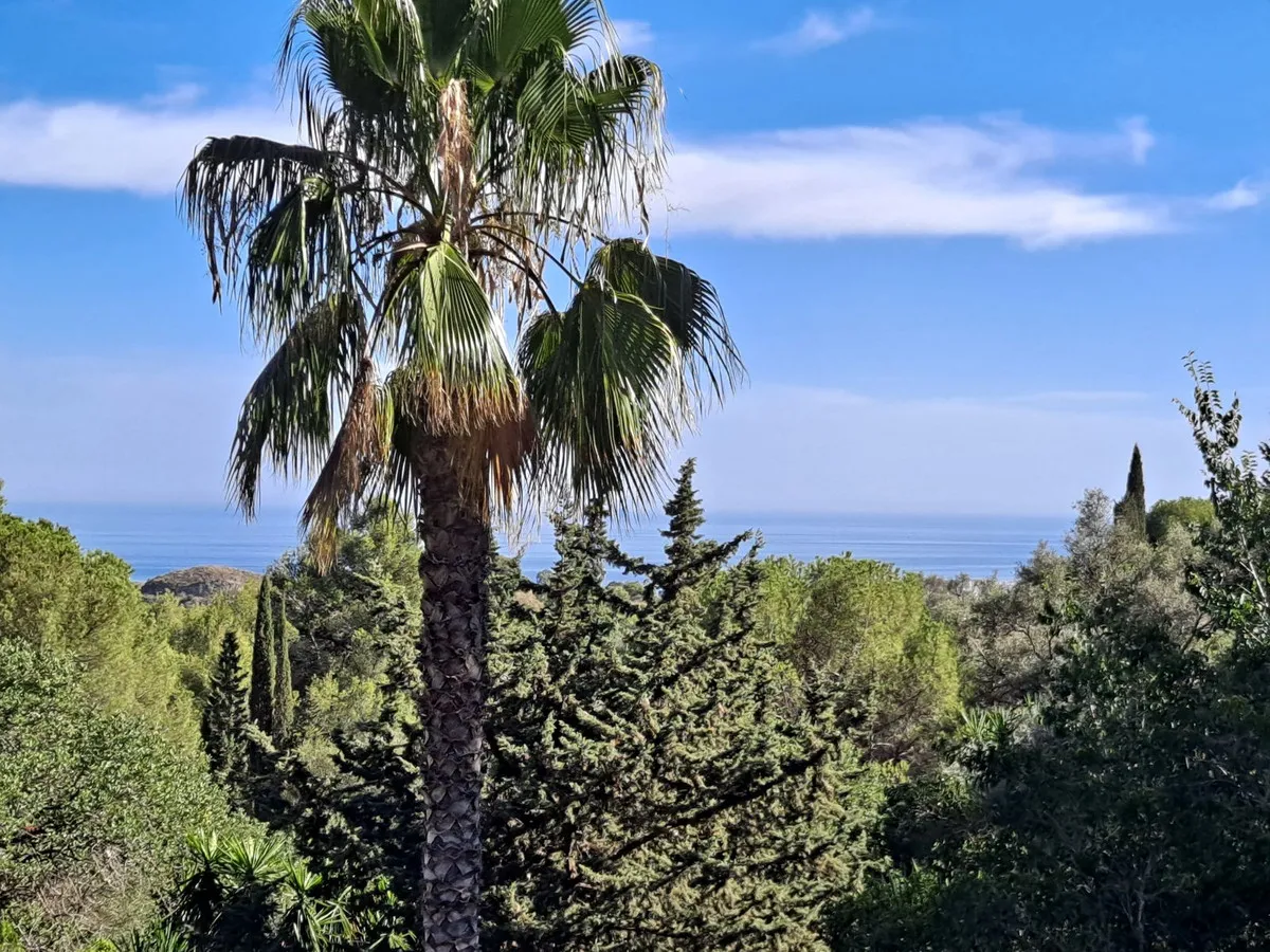 7e04857f-195d-4916-8589-d8281f22c48a