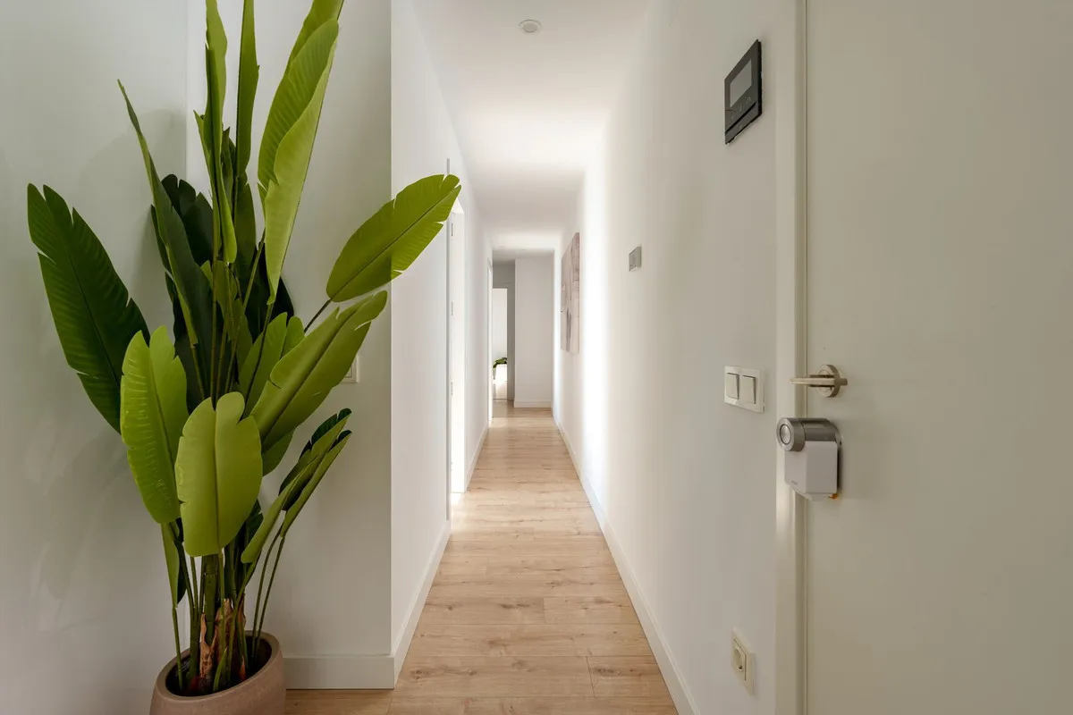 8338e985-d35a-409f-b19c-3e0476220cca