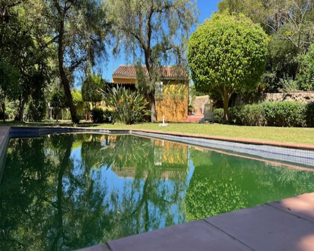 d6908536-d99c-4029-9757-54dbf2ad8aeb