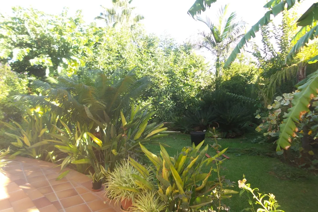 38135736-f3e2-44b1-8ba6-8cc76bea0d48