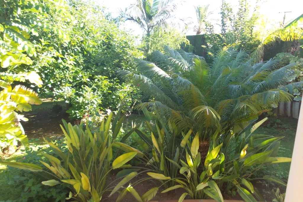 64f0d7e4-3d1b-4a8a-af09-fa604b623ed1