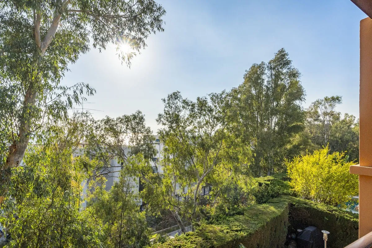 c36af7c5-dbae-4431-a082-e25f0b006464