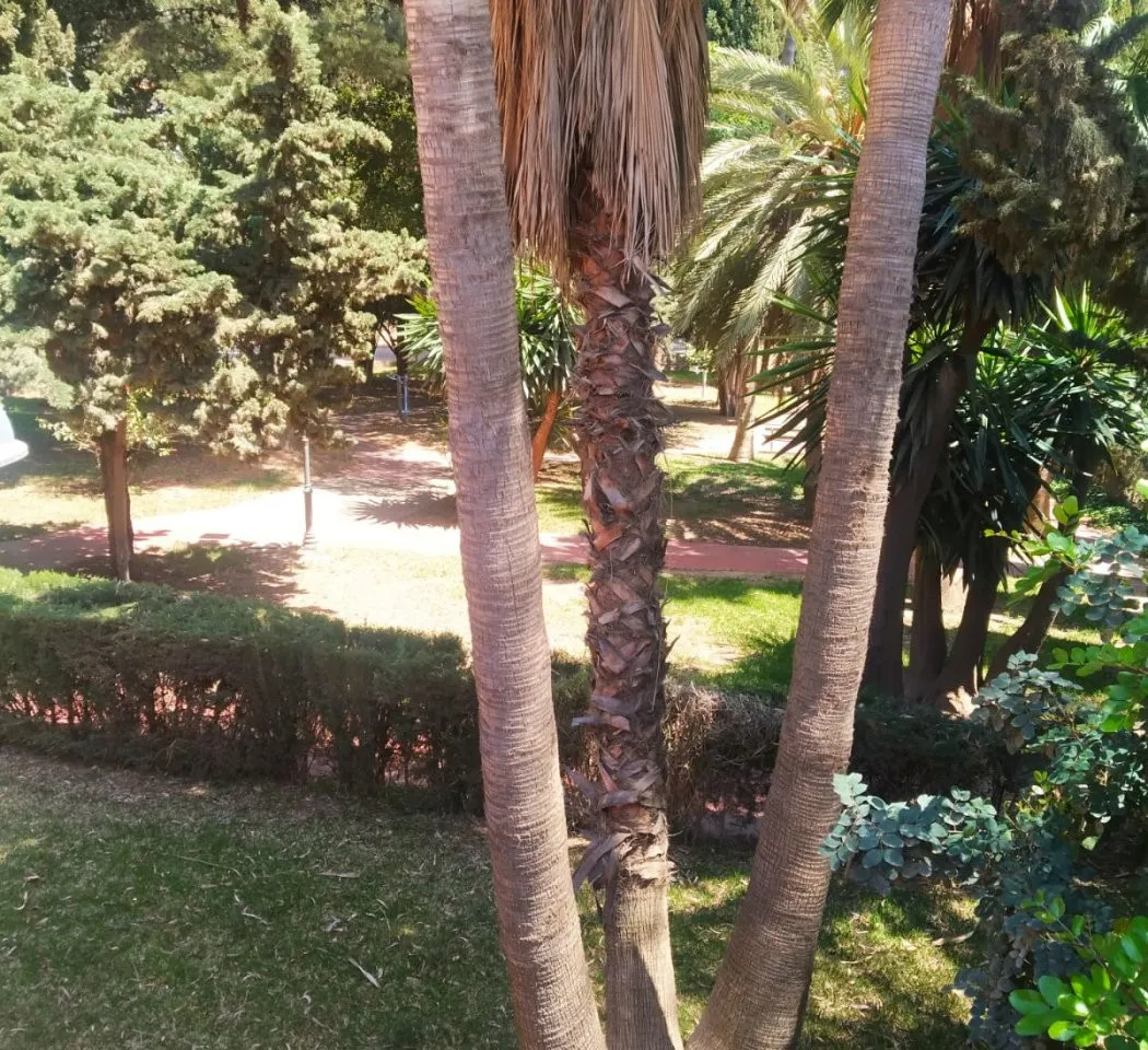 612d0da5-74a7-4189-a664-86be68381450