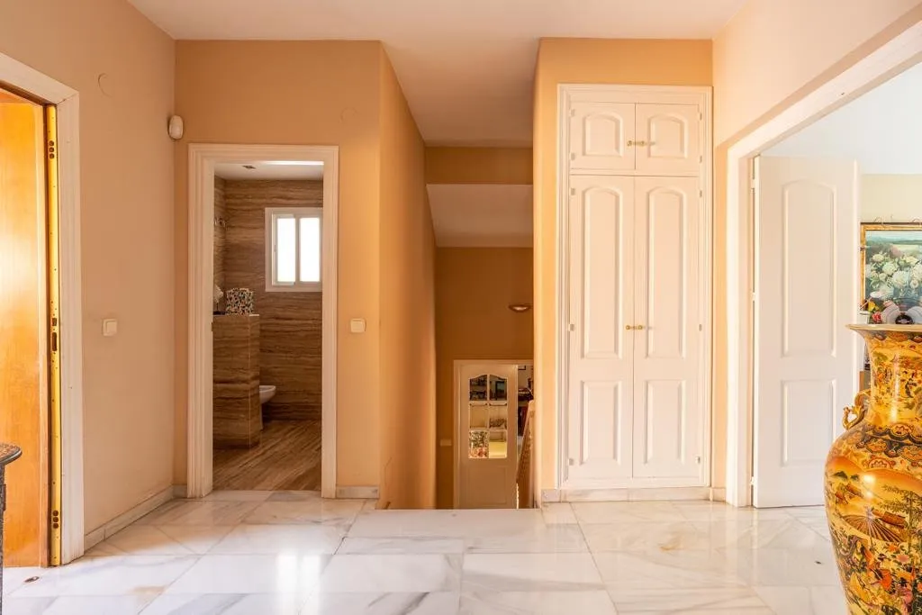 b29d4706-7425-478c-9fe4-c51bf342d595