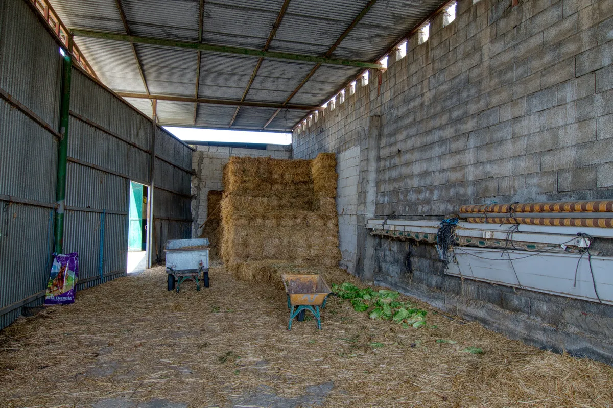 11f4abe3-1e3b-4b3b-967c-d09c6e0b5e19