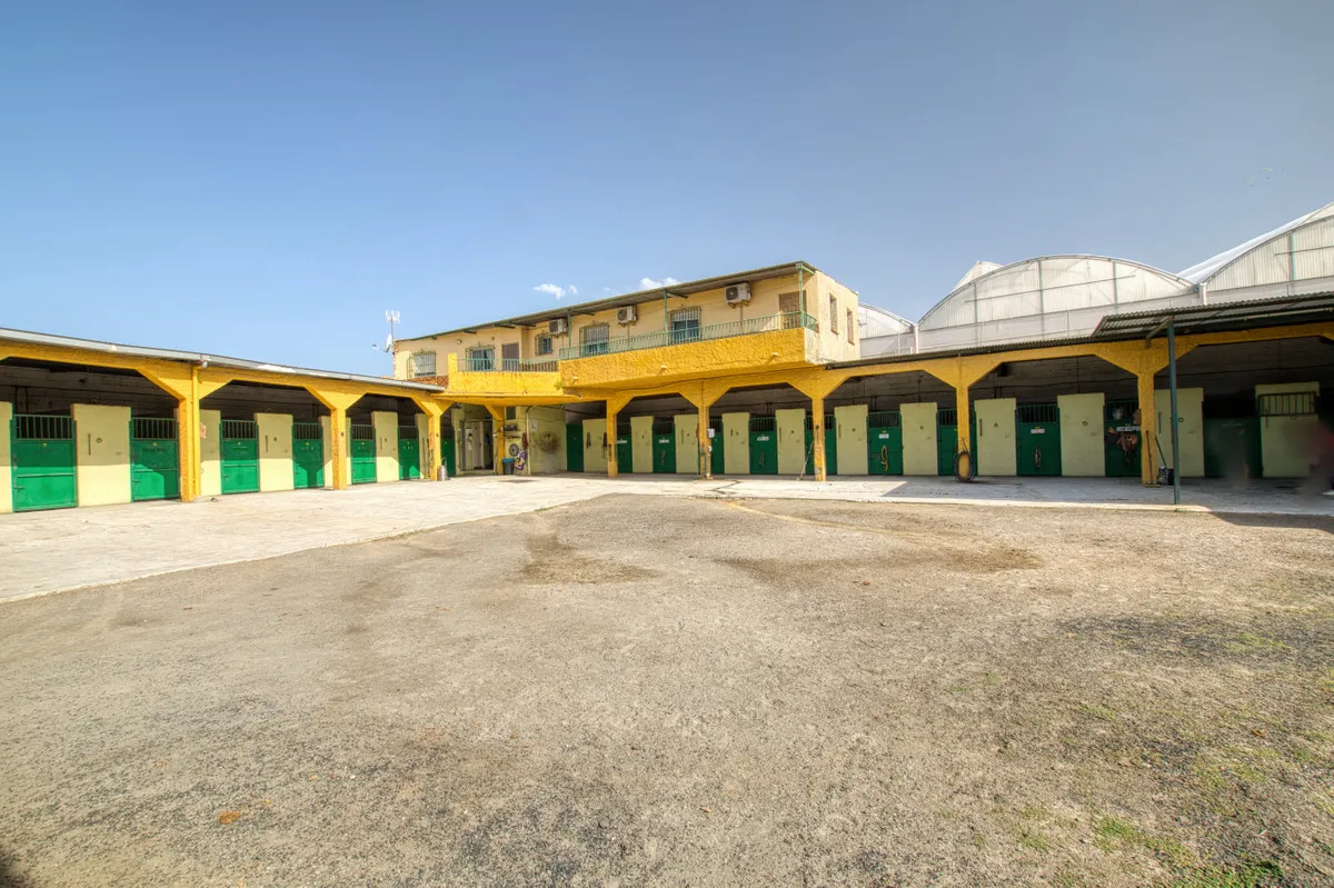 1e1703ef-52e8-4266-964a-52d7a8b32ae0