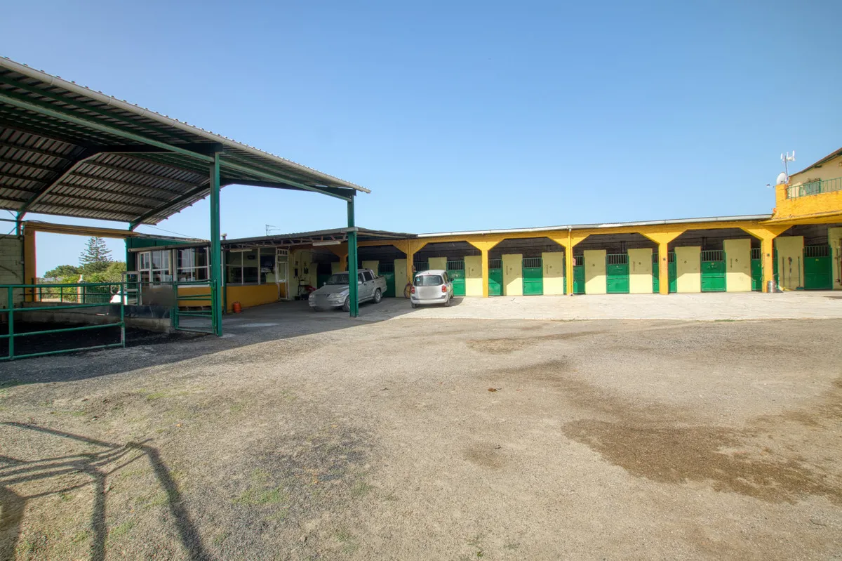 5509c77c-2b20-43a9-a622-82857d9bfede