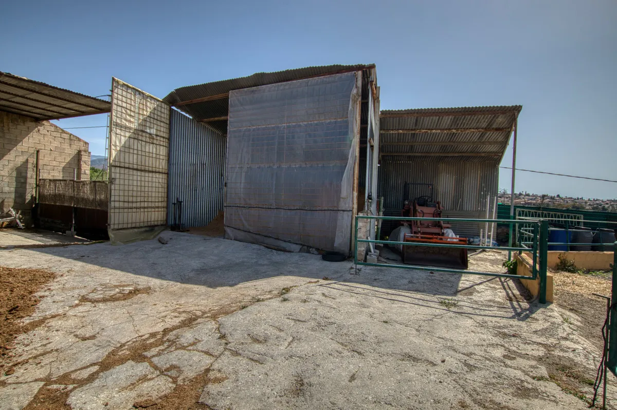 9520ff0f-b596-4061-a4f2-c23e0fe1e963