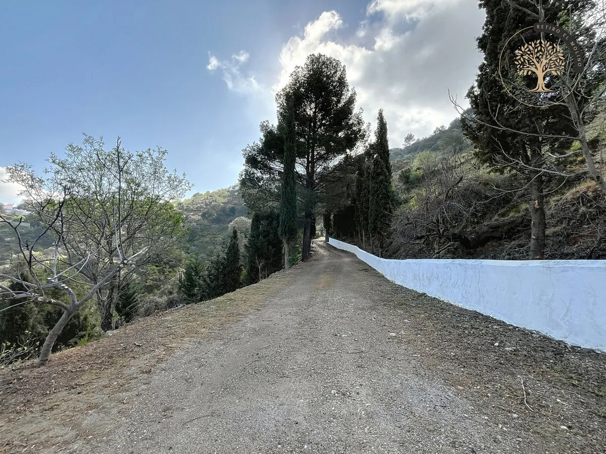 08cc5b72-1982-4f89-aa25-254278184432