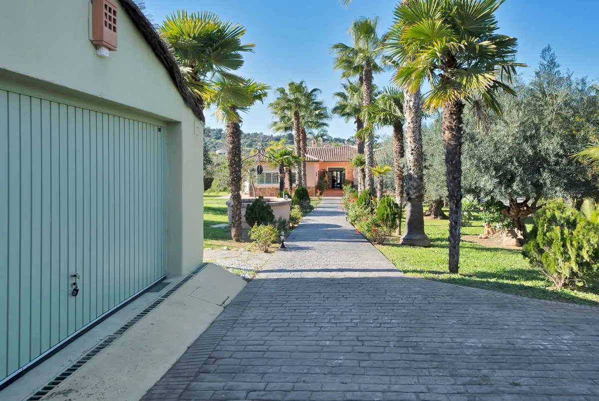 d36cee8e-12e6-4553-acc2-29ae33228539