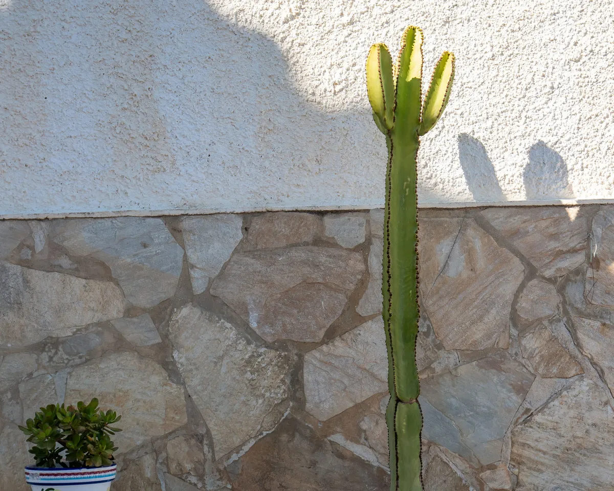 25b9f880-780d-4c5f-aaf2-51cbcf6b717b