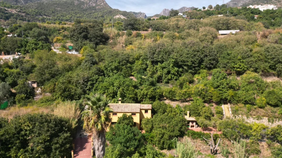 1fcdbd0a-8961-4b34-9099-7a9fa4dd4b73