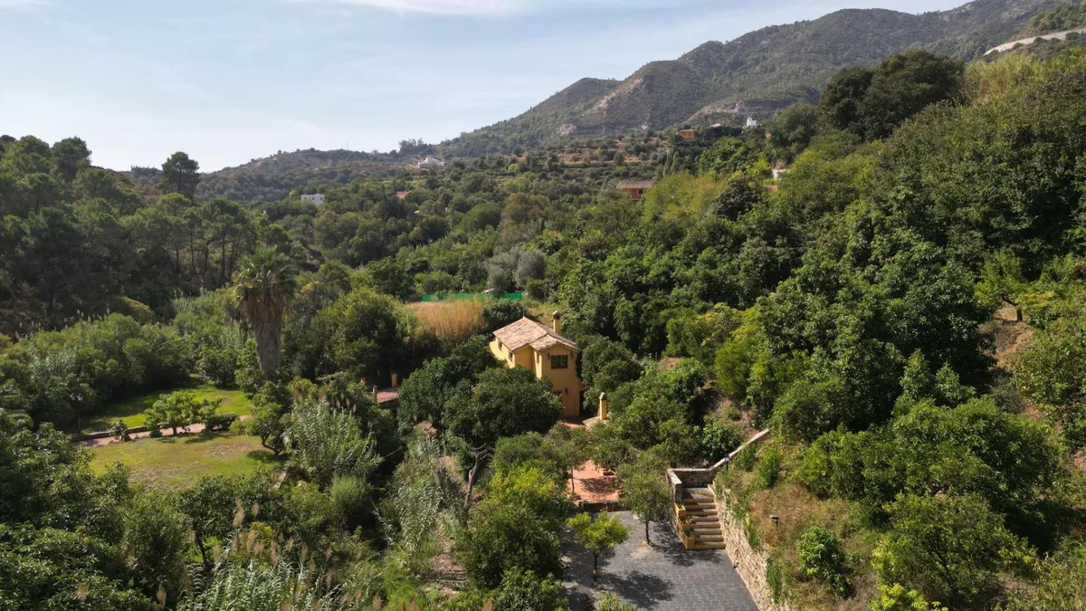 3d14aeae-f84e-4591-9e2f-c0e780196541