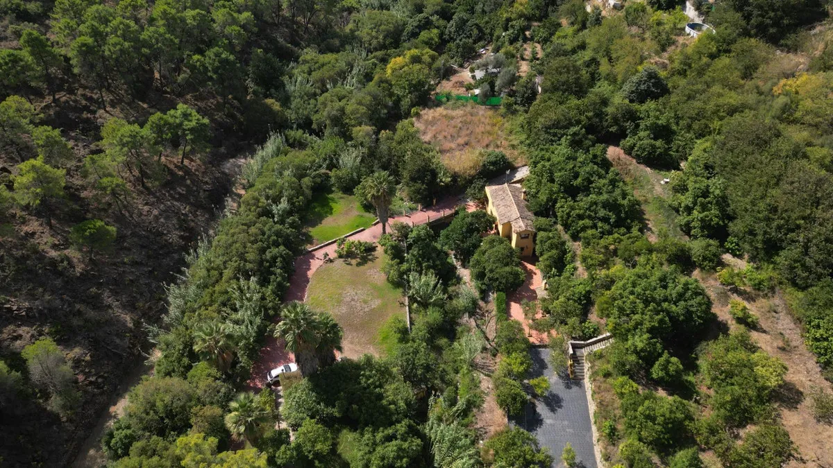 419c06d0-20fe-4e03-ae86-33e3d0367270