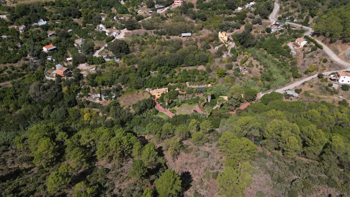 581ed341-0d97-4c8d-ba2a-61086c72becb