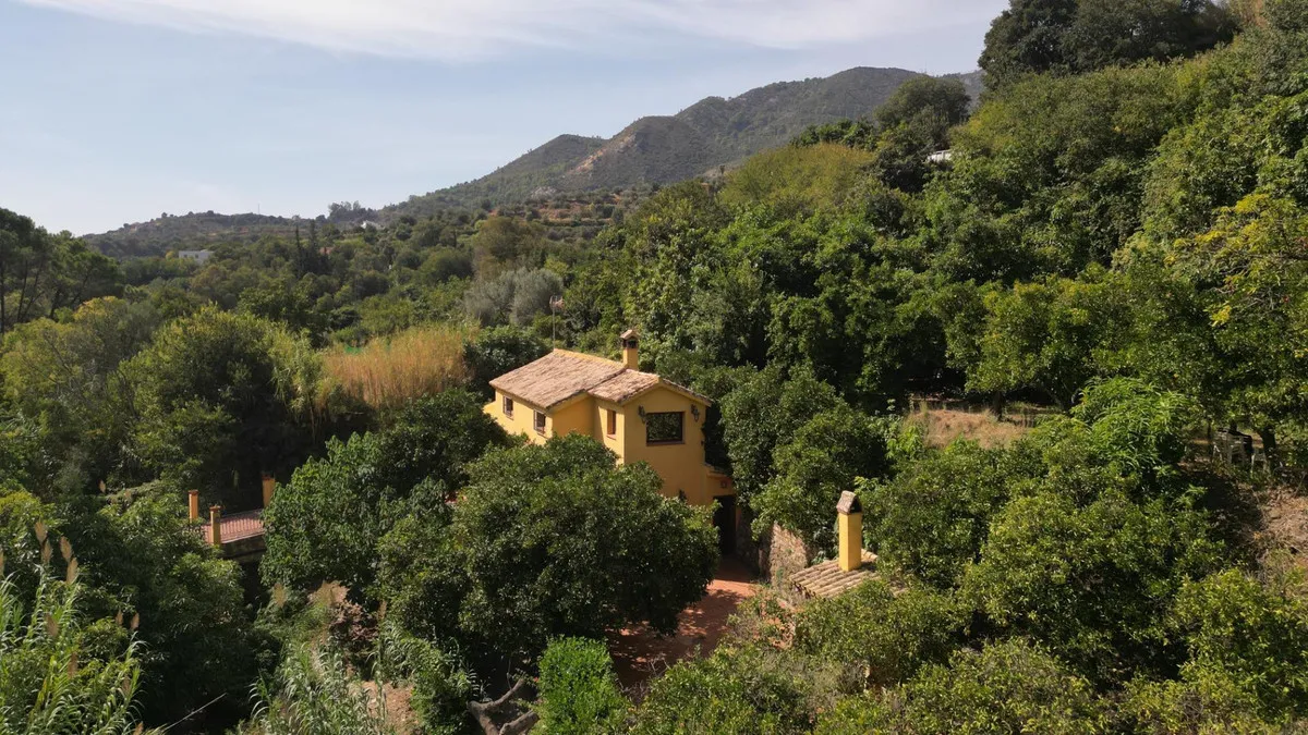 59504f9a-a677-40d1-91ae-135ac2a95891