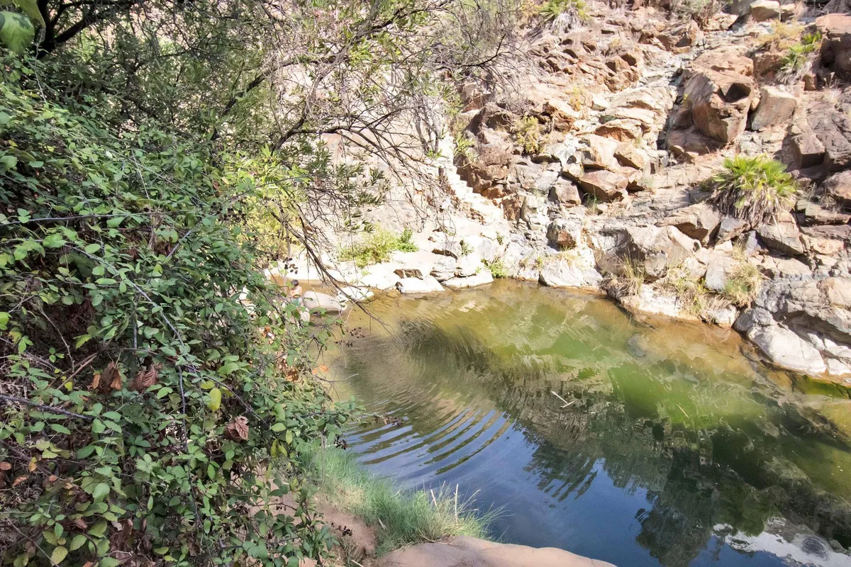 61ddc627-215e-4547-b422-e4f12f8f01bf