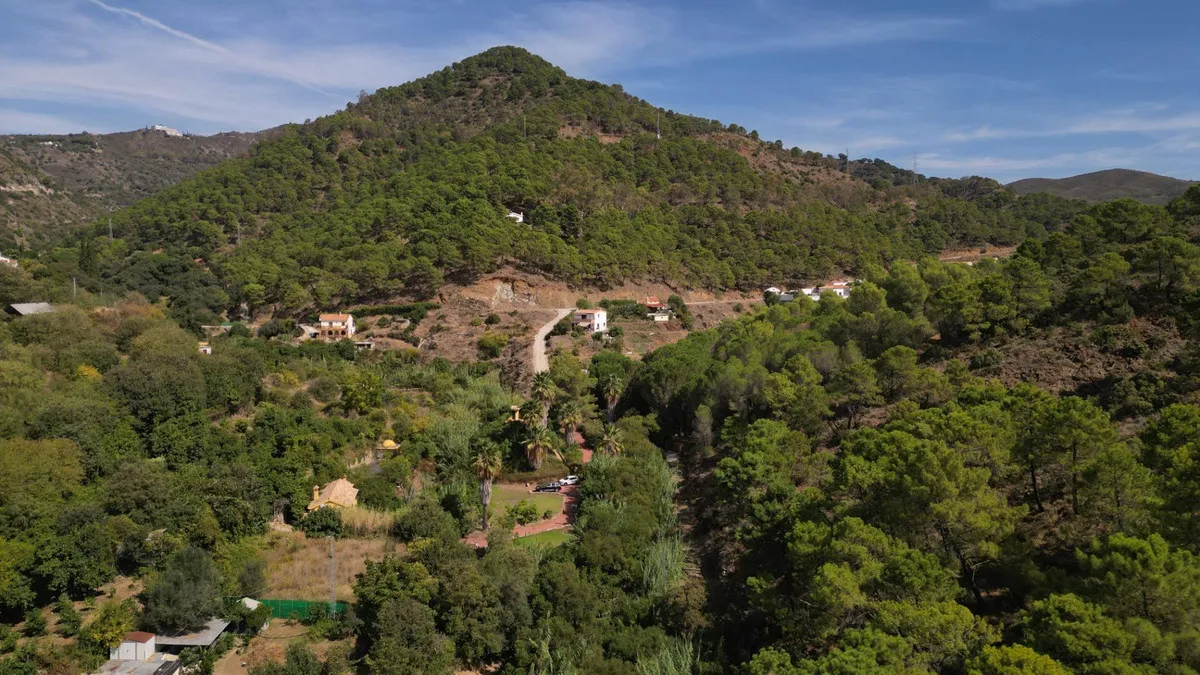 7c4cfd91-4df4-442a-a9b0-ed72e4185cf9