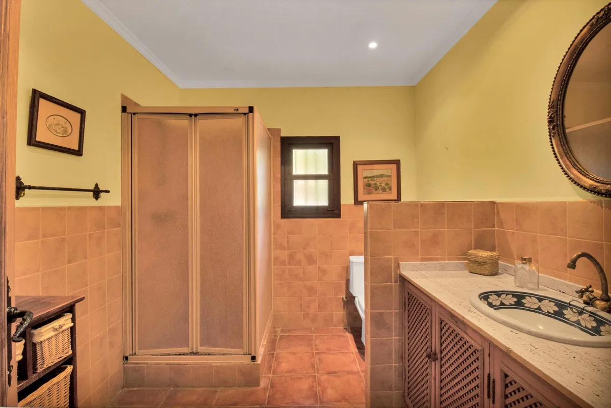 85c366f0-fce4-43ae-9c8d-af4f3c5d275e