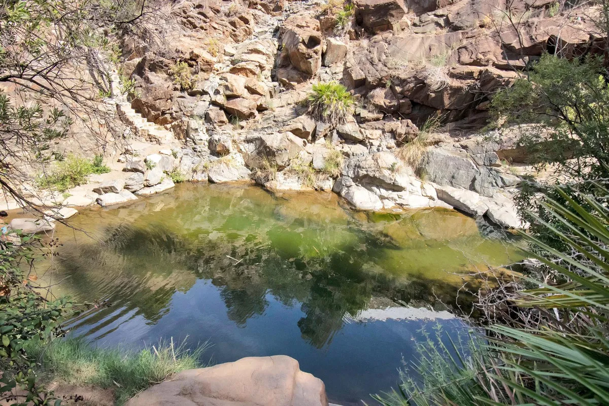 9962b8ae-ee51-4942-b4f1-0c0ff9bffd0d