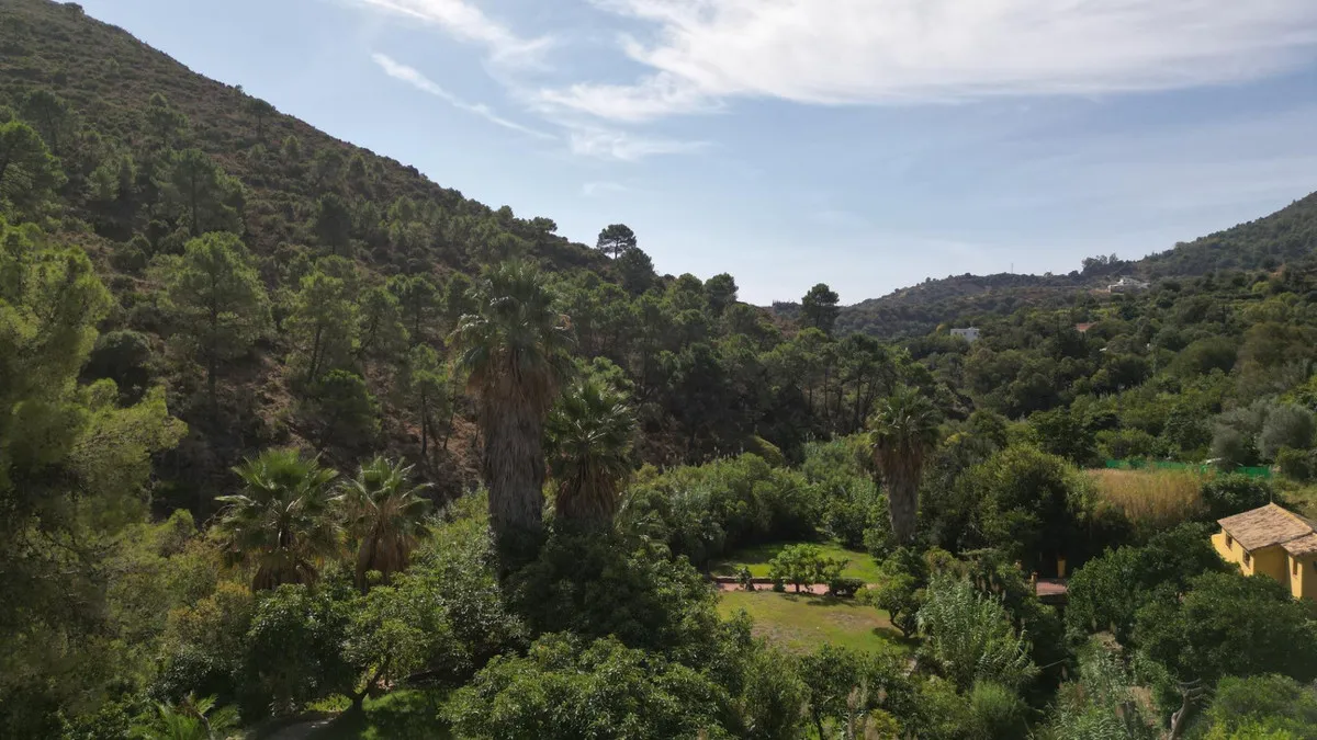 b033f787-c50f-437e-ae34-99370fe668f9