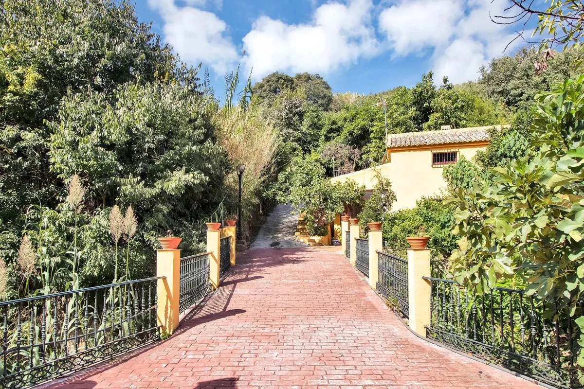 b1a6e317-6ff3-4953-a558-64c600d740a8