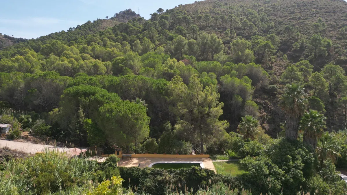 b5907ae1-3125-4ba4-8e63-1e8228088536