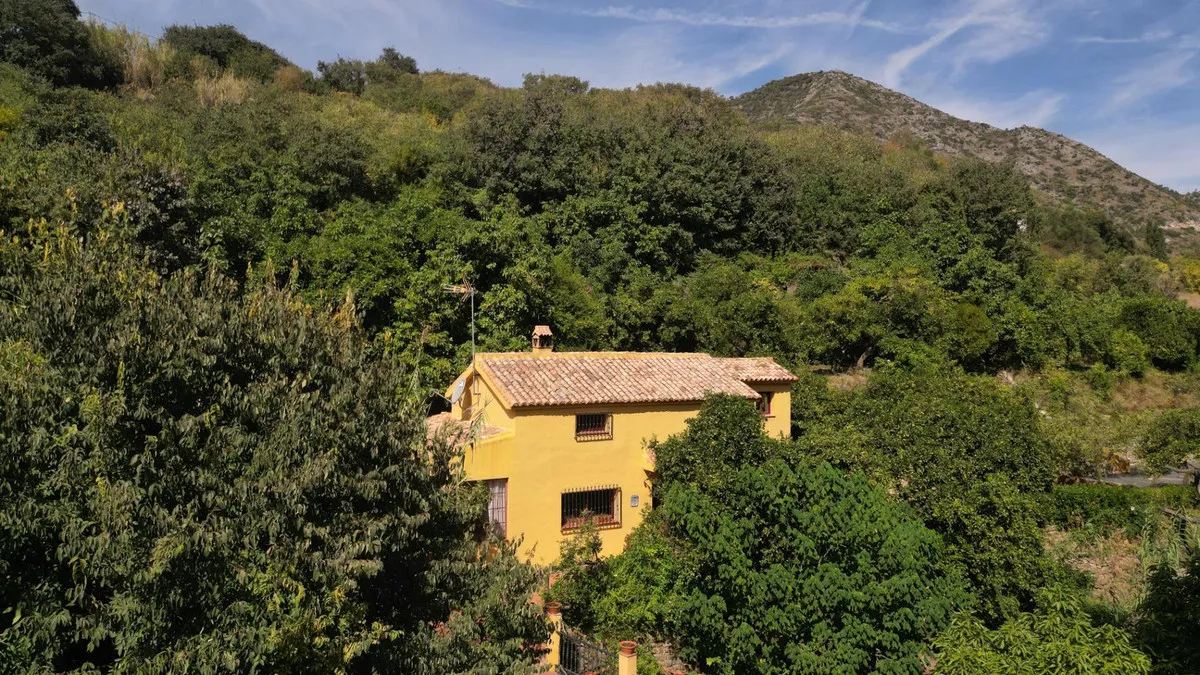 d4d17f36-9bcf-4d83-8276-7d83613bb59e