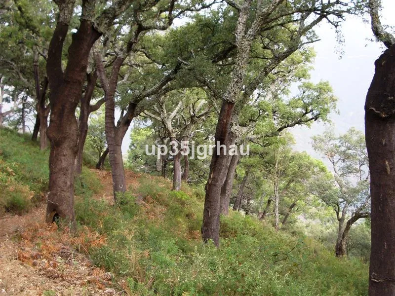 0ca87434-dc73-46fb-889a-46c5e8dd20c3