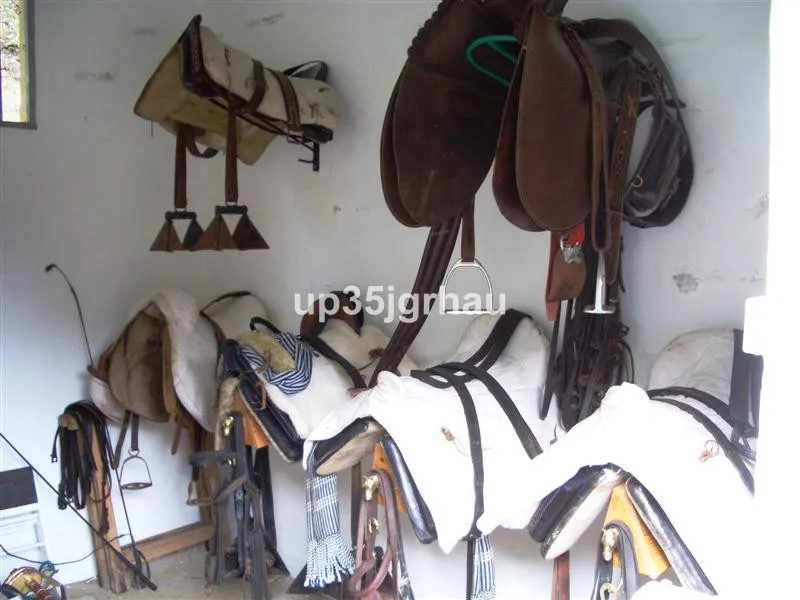 c1856a98-9dae-4067-926e-85454e2c907e