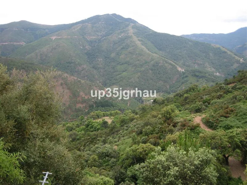 de84d461-3d06-4cf5-acaf-bb8568fee3c1