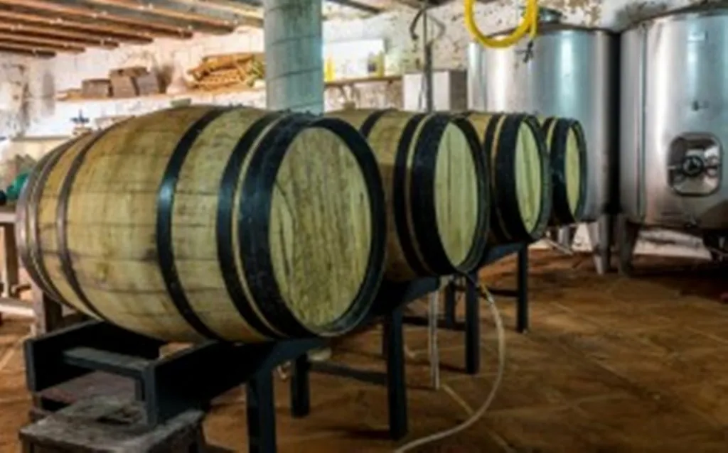 5e150f86-7689-4a22-957c-ad27f57be8ce