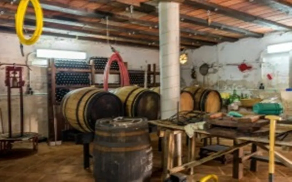 e4c4d4c4-b581-4f32-ac2f-c67379801b0d