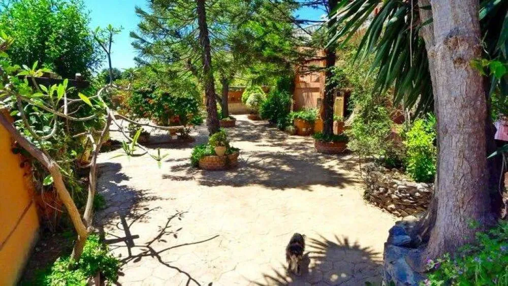 fac9454c-584a-4c96-91ac-80a4c101f08a