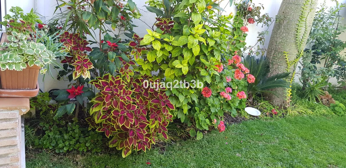 0fafca3d-64d3-4759-9113-2748e532ec1f