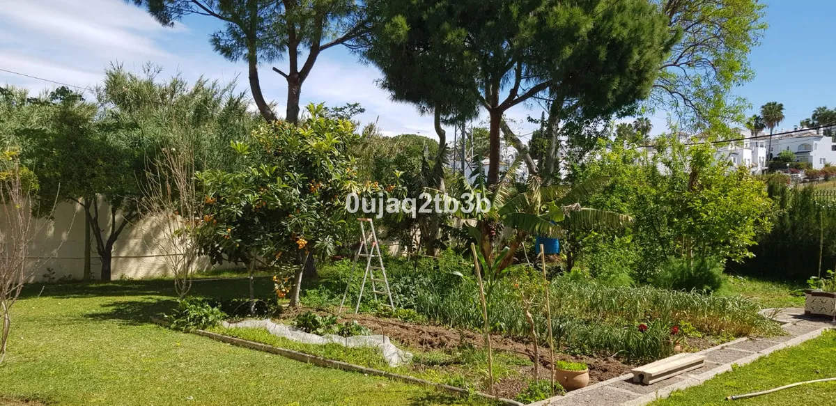 15300fc8-59e3-46c7-be3f-c1e63384576d