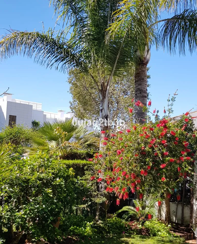 1acef685-38bd-43ee-8f61-675636192fce