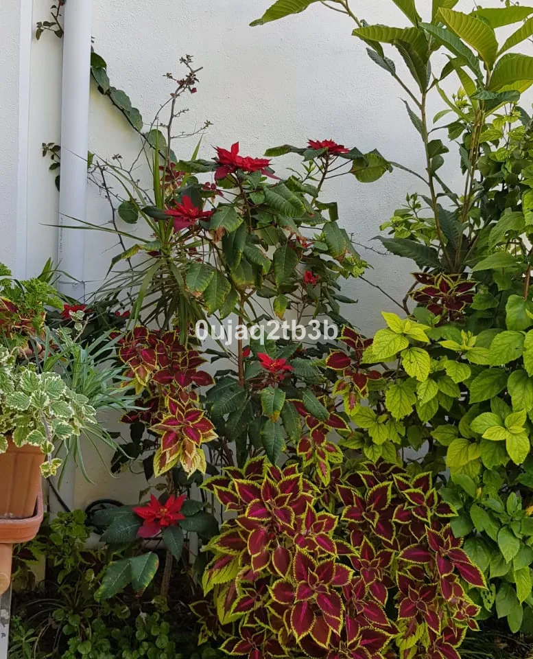 48e5ed84-3bd6-441c-98a3-d26415961c45