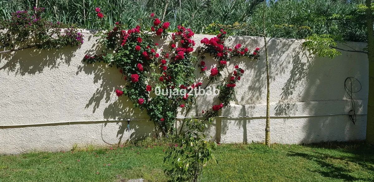 60498cae-4591-4646-9255-8a327bfaf65b