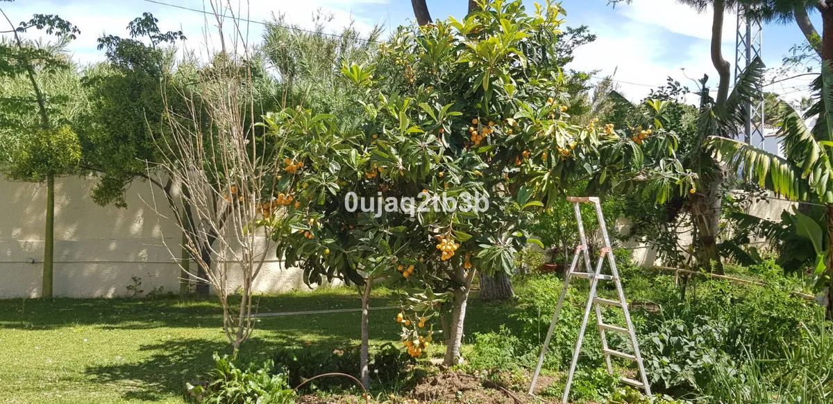 d6565e47-702a-484d-8c59-eb0499456888