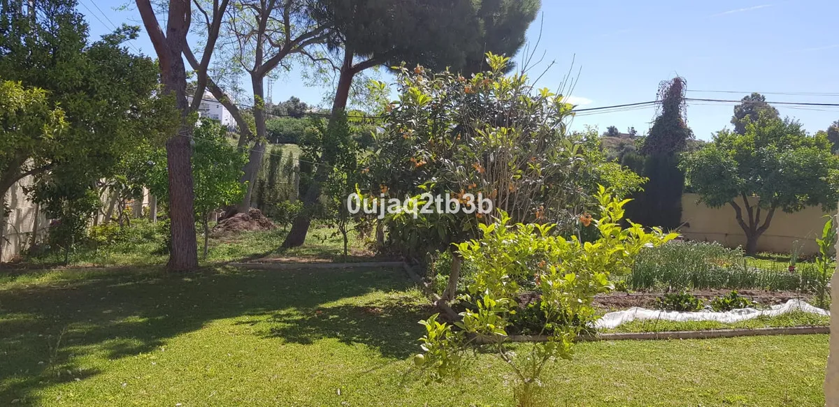 fc2fdf42-f42f-4831-af34-6a781fe7480d