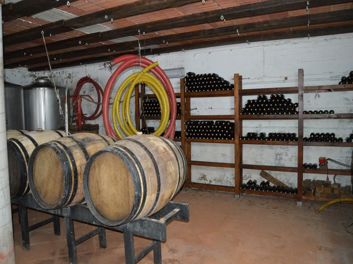 f30ac136-86ff-41a5-aec2-1409e95d5b9f