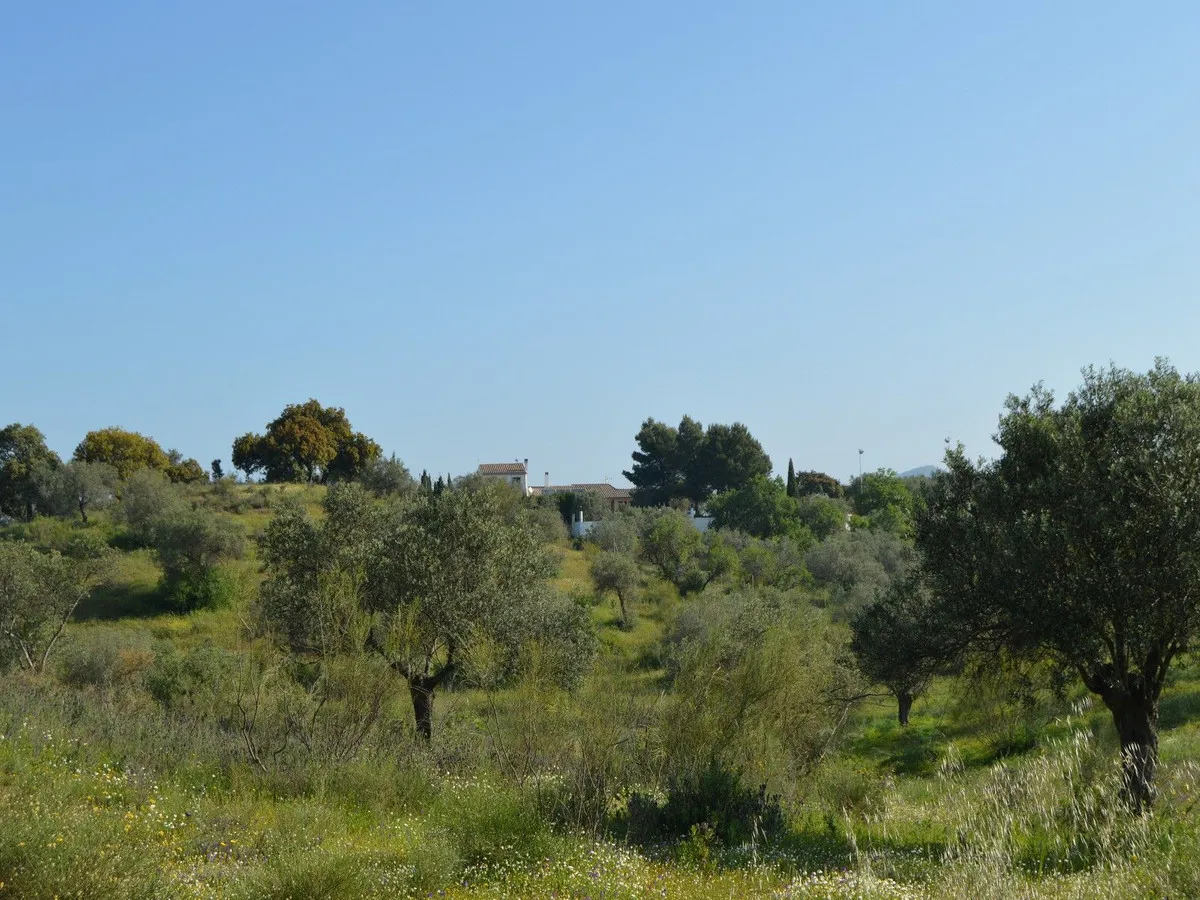 f3e16c43-ed8c-469e-ad32-1d4fc0643150