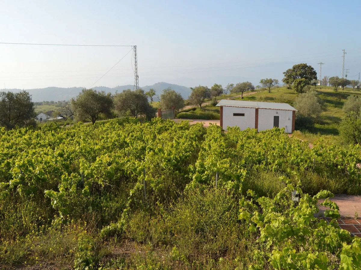 f5f0060b-033c-46bf-987c-916e39cd14b5